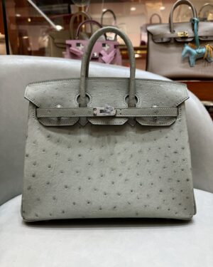 [에르메스] 버킨 25cm Ostrich/ Gris Mouette - Silver