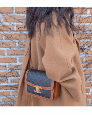 [셀린느] 클래식 트리옹프 백 - 트리옹프 캔버스 & 카프스킨 191242BZ4